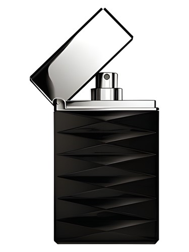 Armani Attitude Giorgio Armani