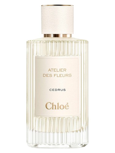 Cedrus Chloé