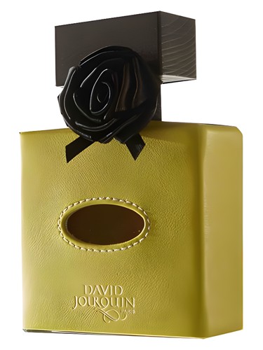 Cuir Solaire David Jourquin