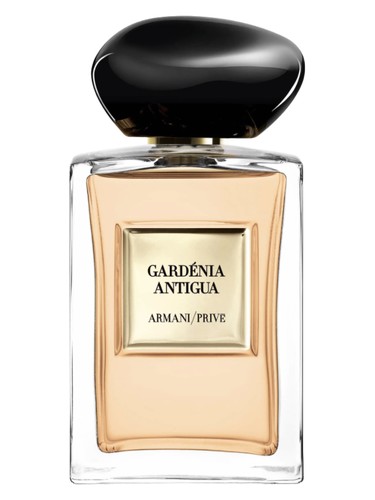 Gardénia Antigua Giorgio Armani