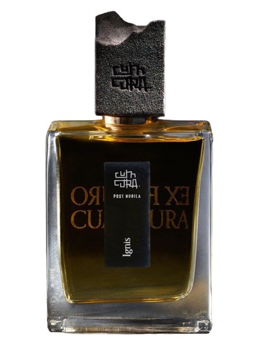 Ignis Cum Cura