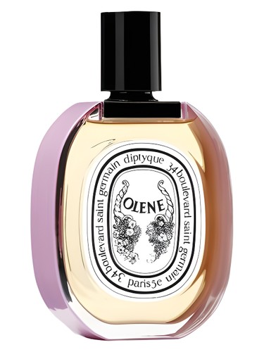 Impossible Bouquet Olene Diptyque