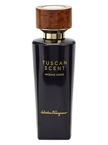 Incense Suede Salvatore Ferragamo for women and men