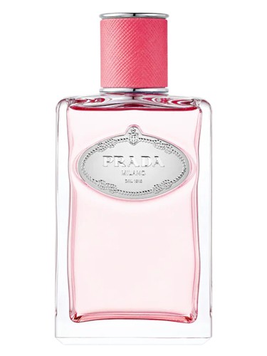 Infusion de Rhubarbe Prada for women and men