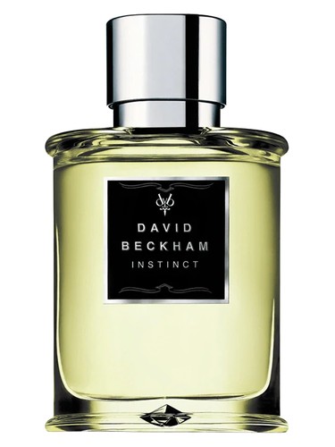 Instinct David Beckham