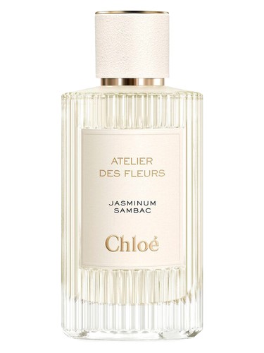 Jasminum Sambac Chloé