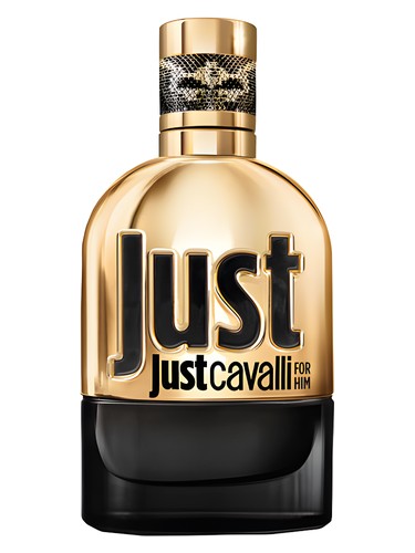 Just Cavalli Gold for Him Roberto Cavalli