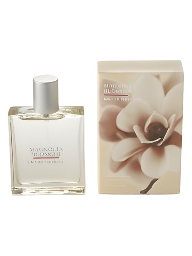 Magnolia Blossom Bath & Body Works