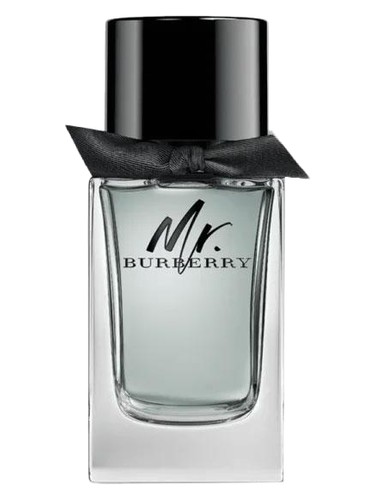 Mr. Burberry Burberry