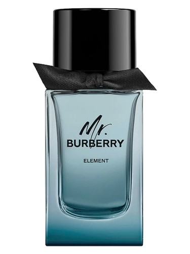 Mr. Burberry Element Burberry