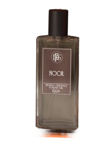 Noor DFG1924