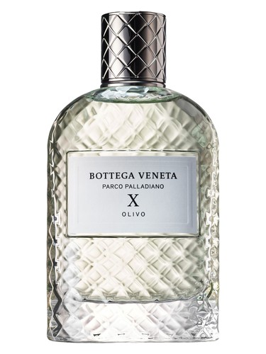 Parco Palladiano X: Olivo Bottega Veneta for women and men