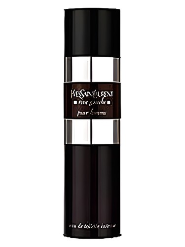 Rive Gauche Pour Homme Intense Yves Saint Laurent