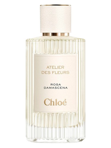 Rosa Damascena Chloé