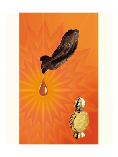 Shatha Al Oudh Rasasi