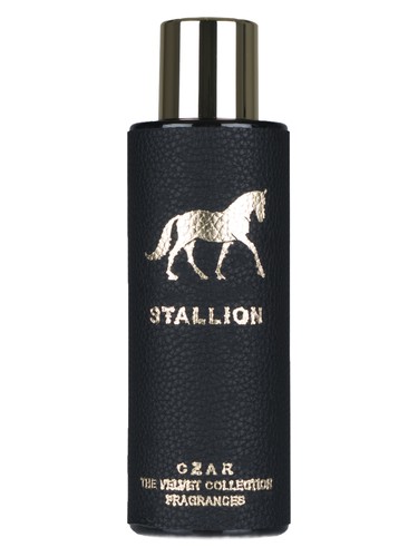 Stallion X Aslan Gülçiçek CZAR