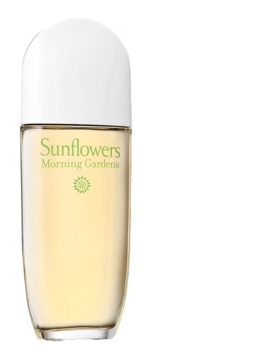 Sunflowers Morning Gardens Elizabeth Arden
