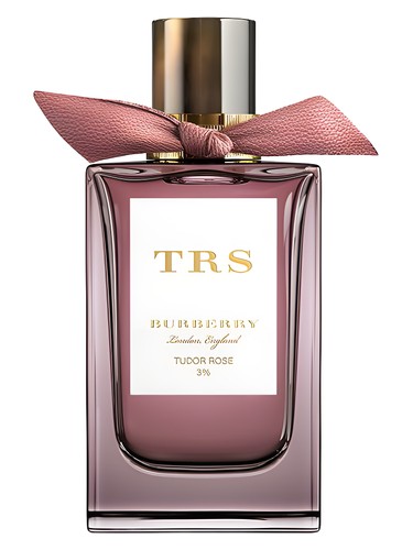 Tudor Rose Burberry