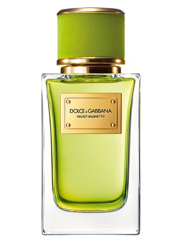 Velvet Mughetto Dolce&Gabbana